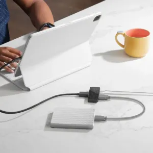 Twelve South StayGo mini USB-C šakotuvas, prijungtas prie ant stalo esančio planšetinio kompiuterio, su dviem prijungtais kabeliais.